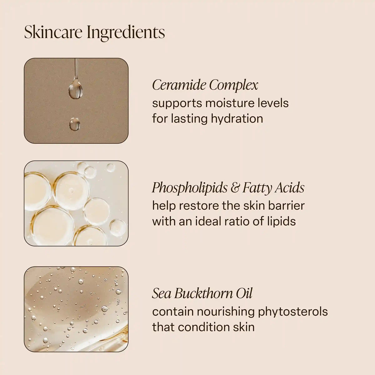 Pink Beach - Body Butter
