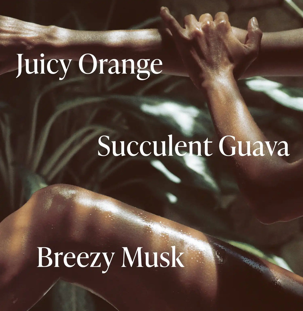 Exotic Pulp - Body Butter