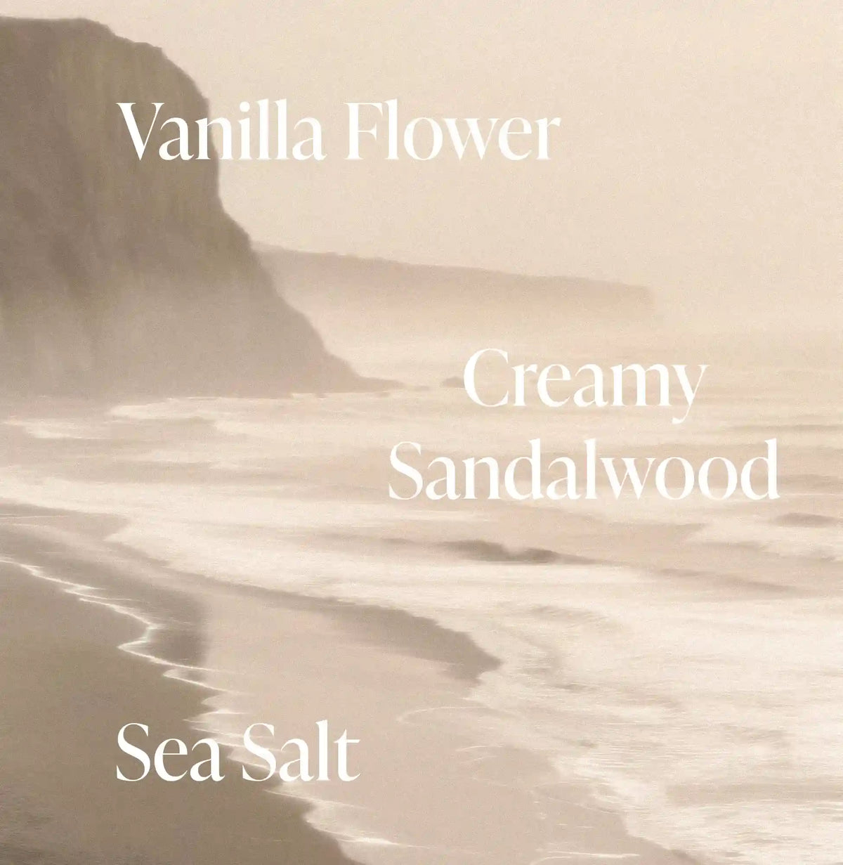 Salt Water Vanilla - Essentials Set