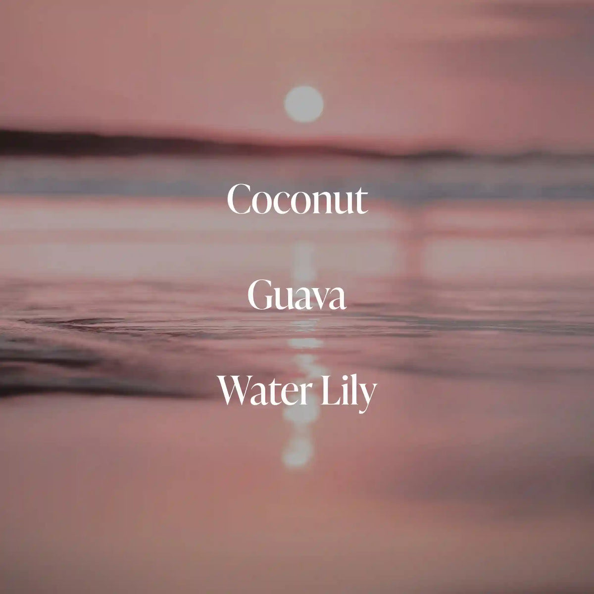 Coral Coast - Body Butter