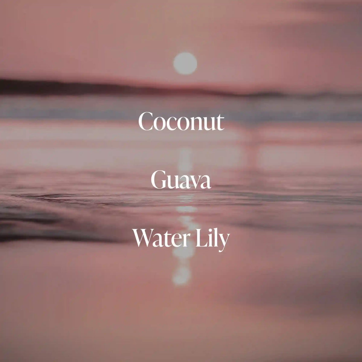 Coral Coast - Shimmering Body Oil